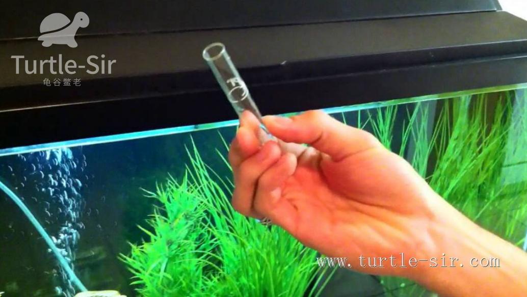 养龟之道如何掌握适宜龟缸水位,养龟如何判断龟缸水质好坏