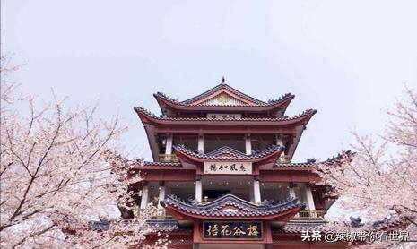 江苏祖国的大好河山,大好河山江苏