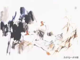 鹅画法可爱简单在陆地上行走,图文教程鹅写意画法