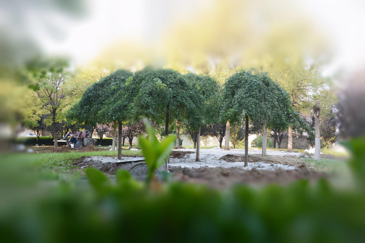 运城安国结核病医院电话,运城安国中医结核病医院