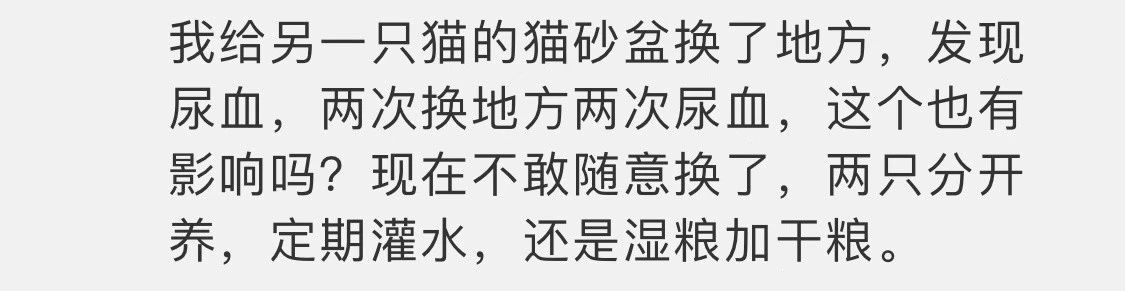 猫咪可以缓解焦虑抑郁吗,猫也会焦虑型依恋吗