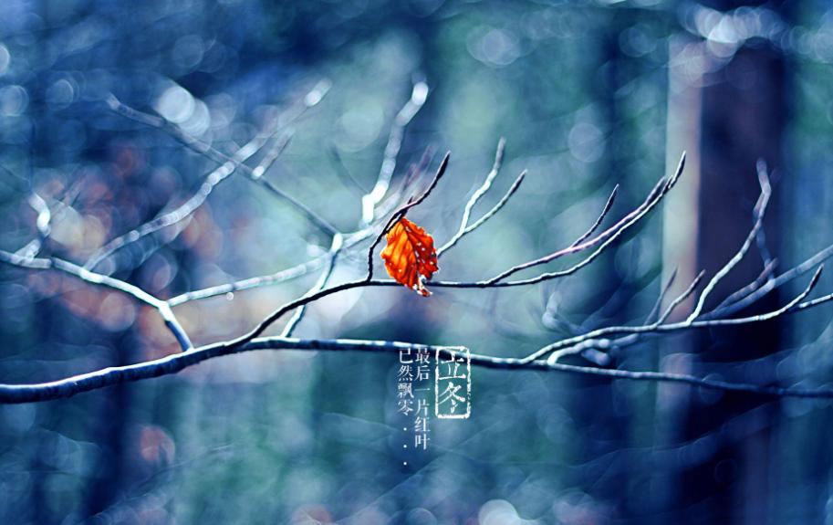 立冬的100首诗,凛冬将至北风呼啸