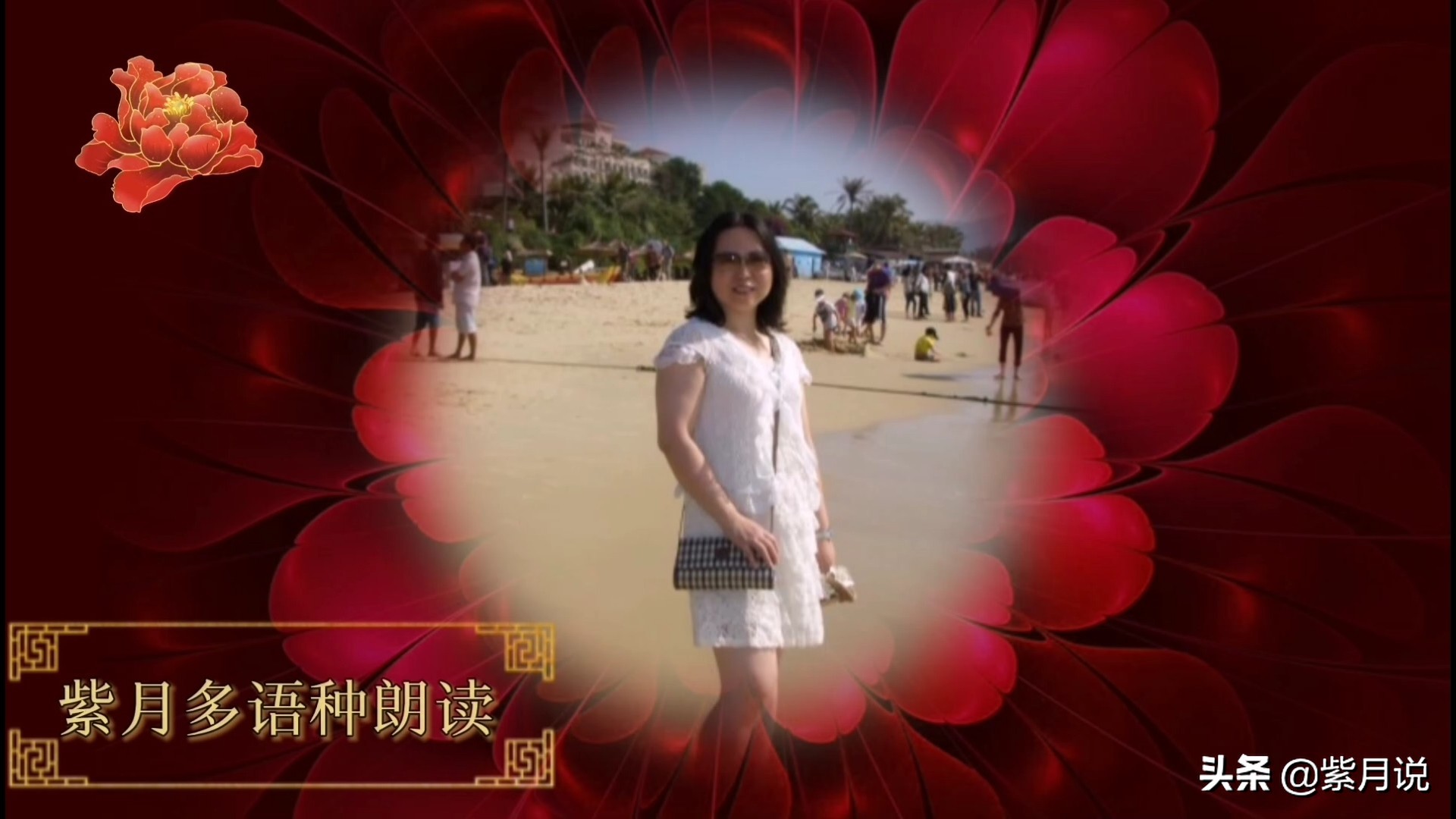 紫月法语全集朗读,紫月中英文朗读