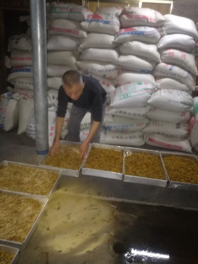 农村小作坊酿酒前景,开酒厂小作坊要多少成本