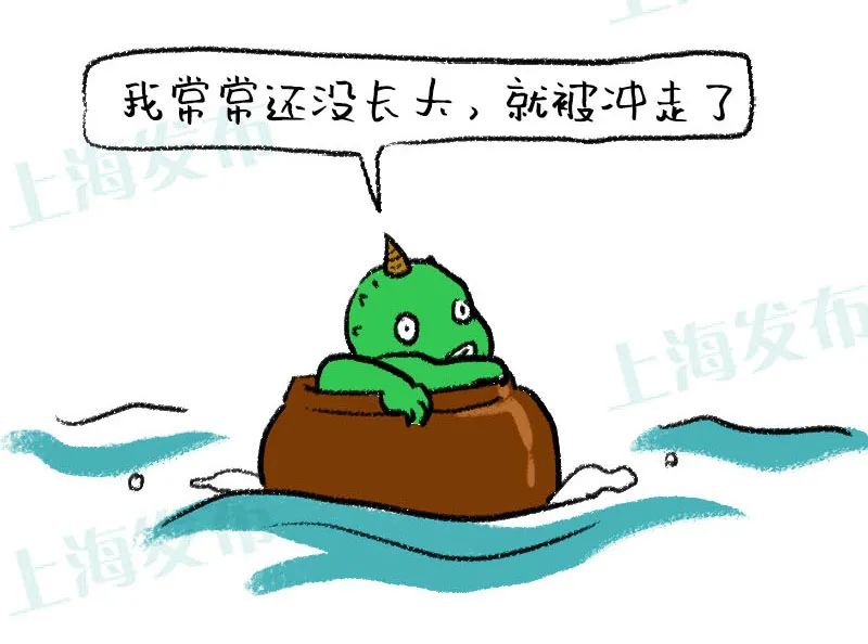 一招解决胆结石的方法,胆结石最快止疼方法穴位