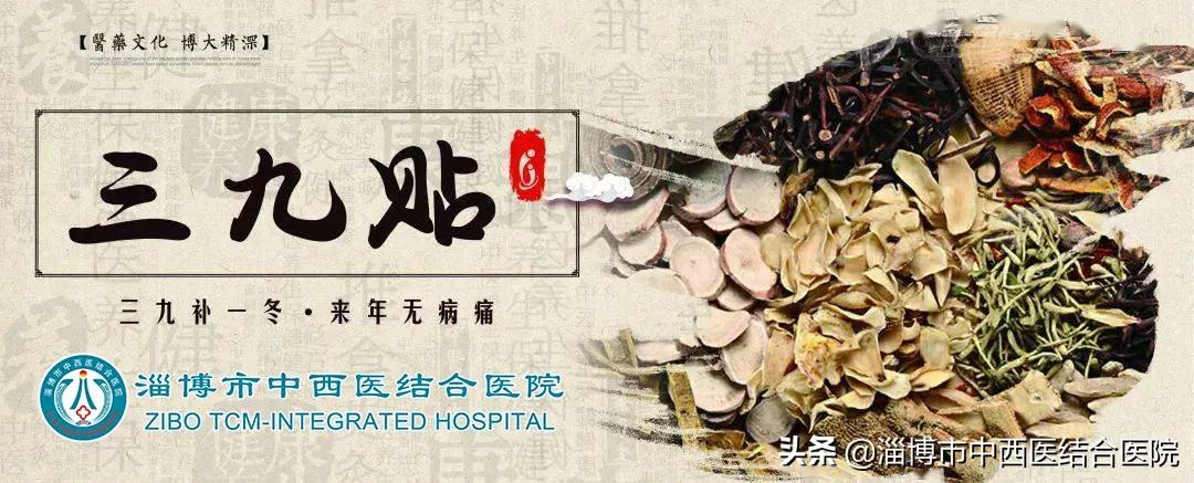 岐黄之术之中药外敷,岐黄之术下一句