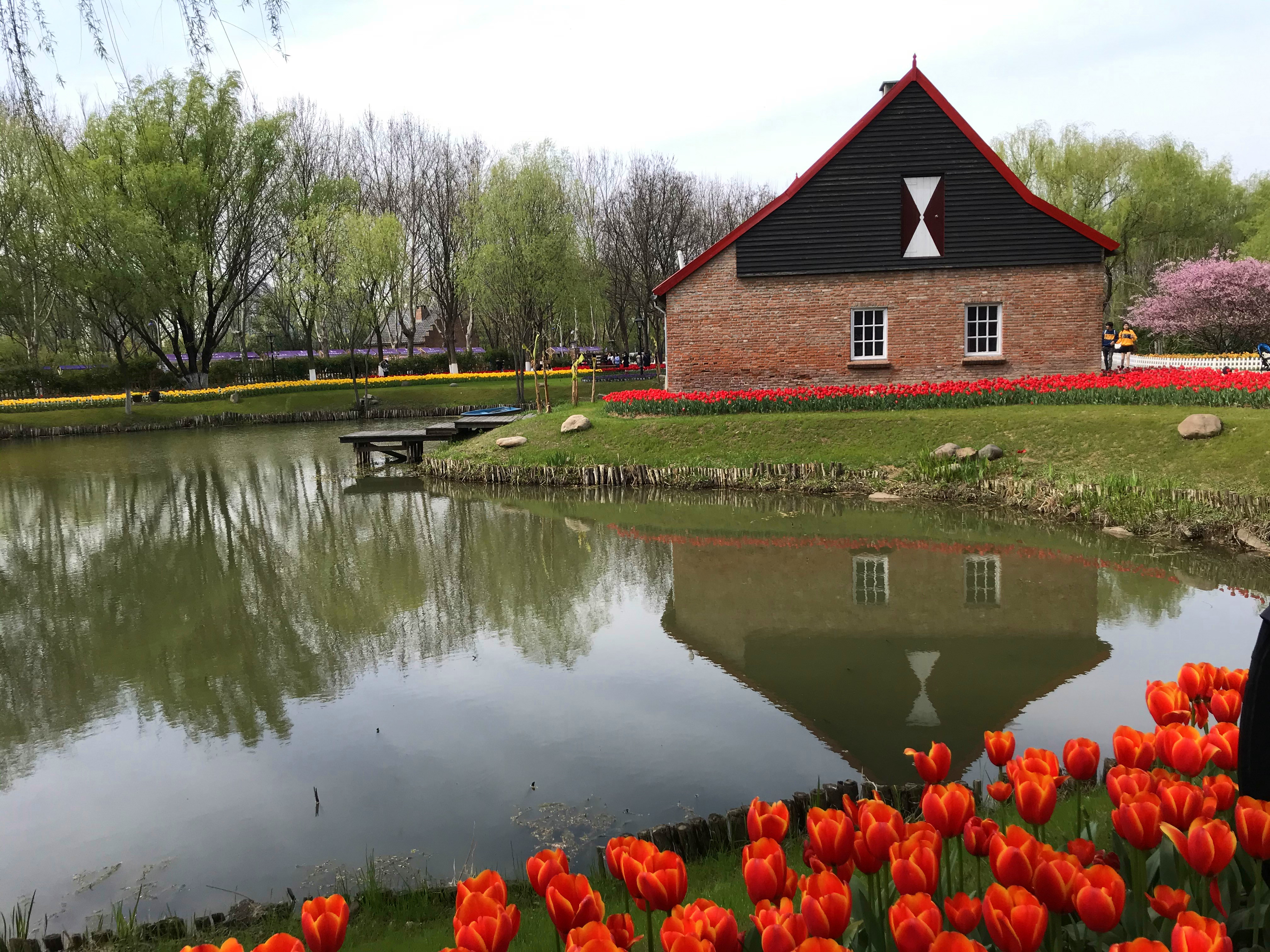 荷兰风情花园,南京绿博园的美丽