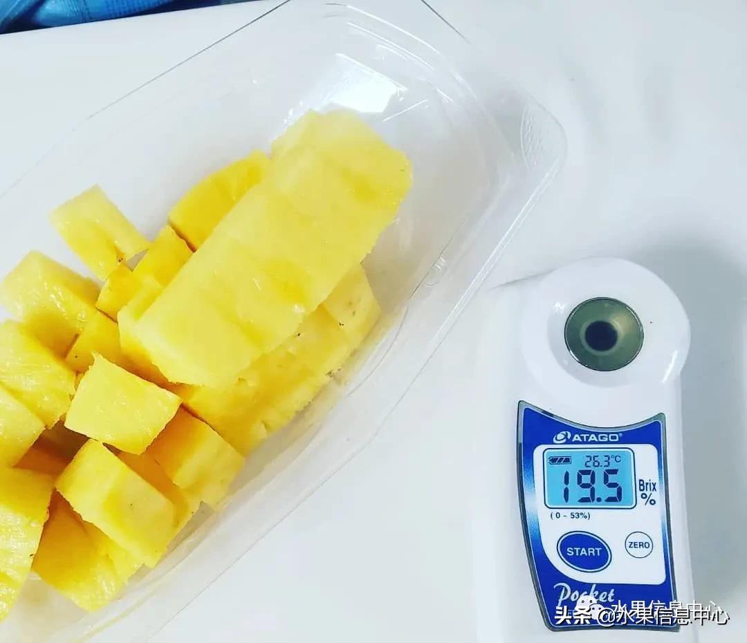 日本农业发达到什么程度?荔枝、香蕉、菠萝竟然用温室来种