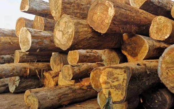 非洲黄花梨是什么，非洲黄花梨有什么特点