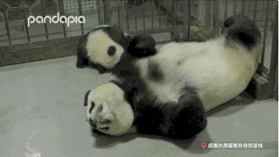 冬天就是要拥抱,冬季拥有温暖的抱枕