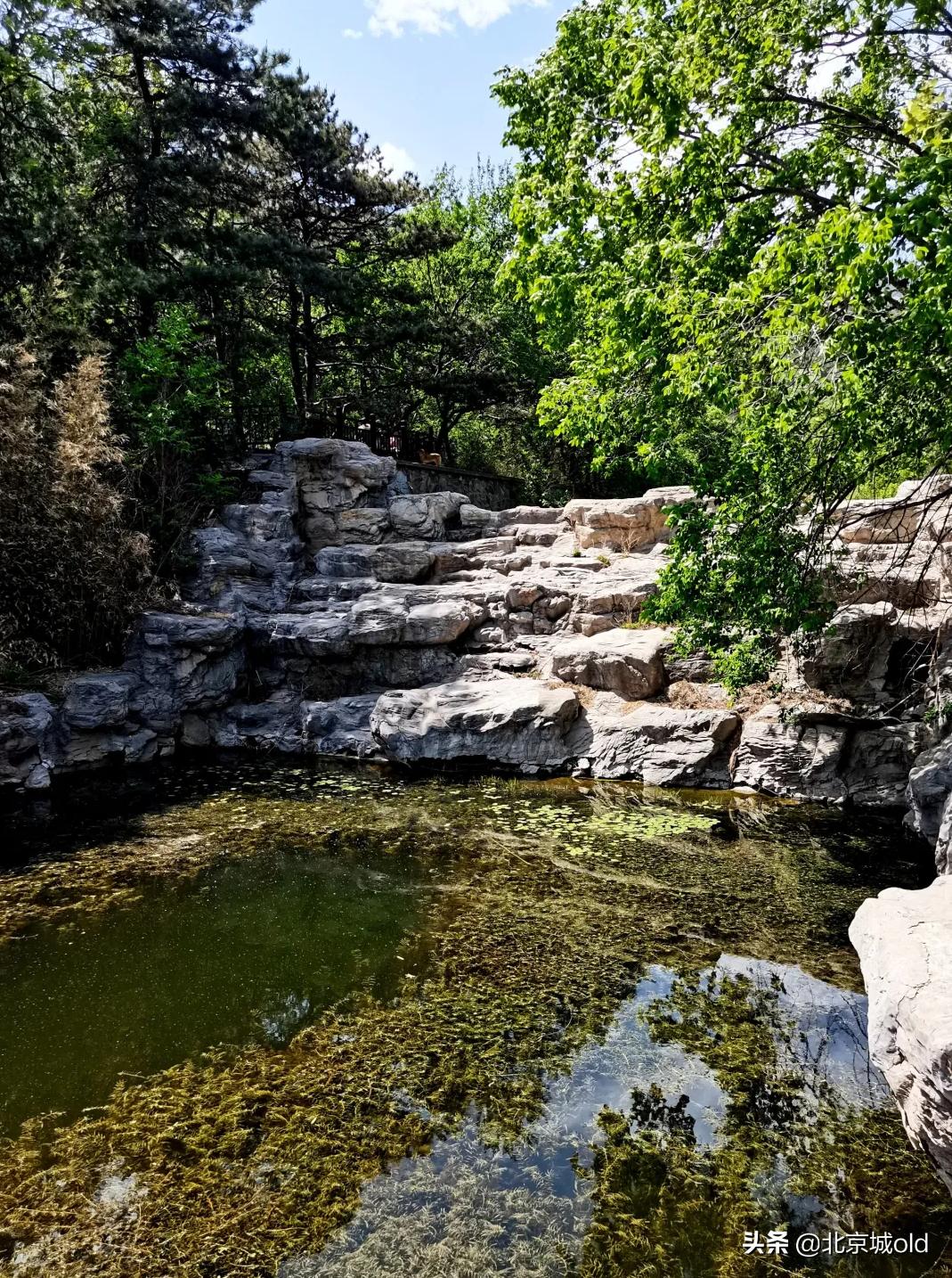 北京人的记忆北冰洋,陶然亭大雪山对北京孩子的意义