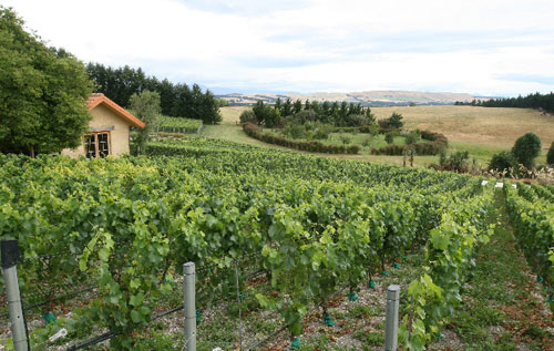 世界名酒产区,世界美酒名牌前十名