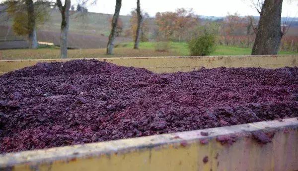 真正的红酒是怎么酿造的,喝了这么多年酒