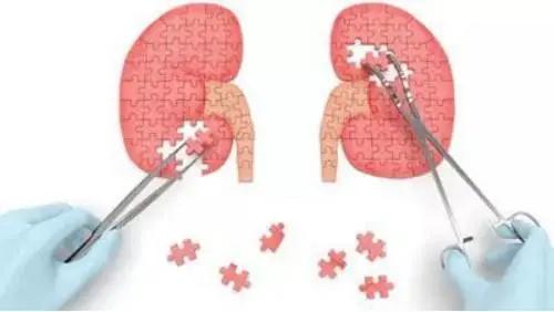 感冒诱发哪种肾病可怕,专家谈炎症和感染区别