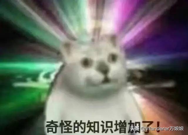 哈哈哈哈哈哈我笑到我妈把鞋塞我嘴里