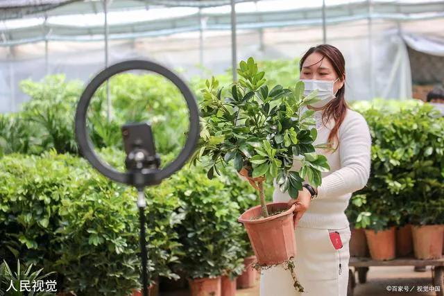 新手如何做直播带货中遇到的问题,新手直播带货如何做数据