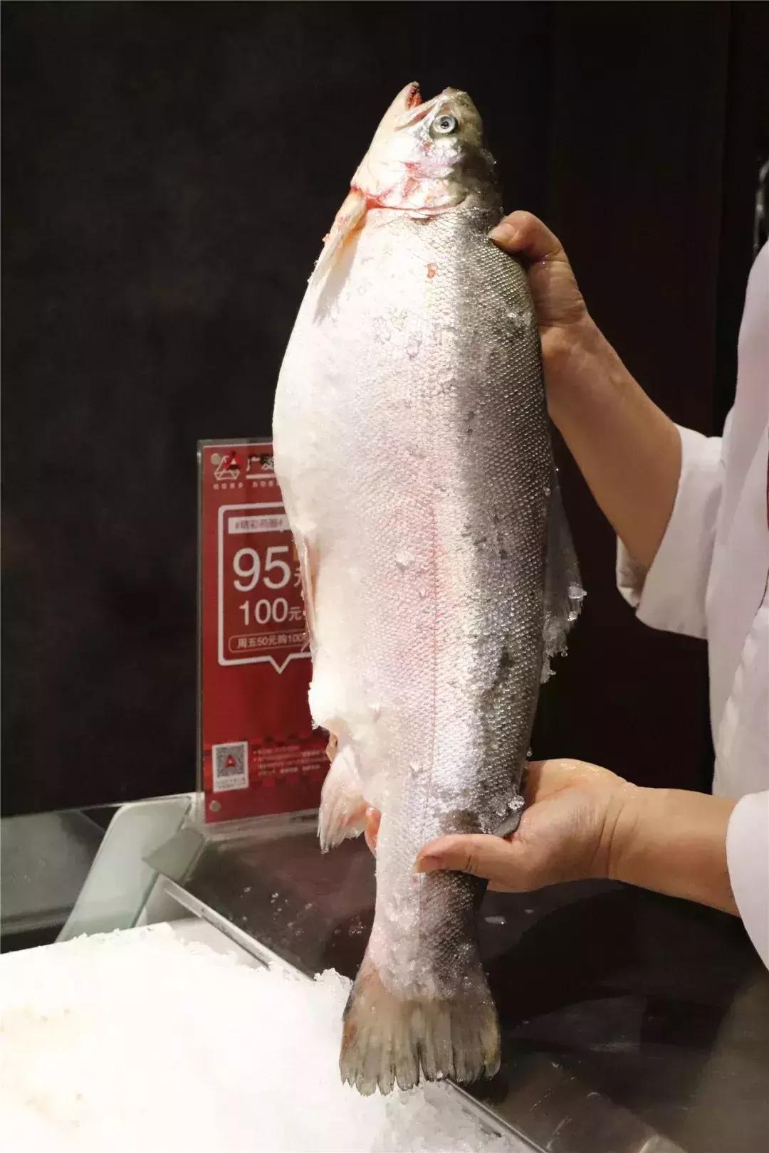 Madein*疆新**！不用100元能吃三文鱼全鱼宴？！