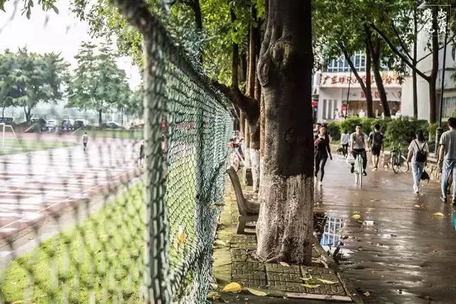 春暖花开是一年中最美丽的季节,春暖花开的季节享受大自然的美景