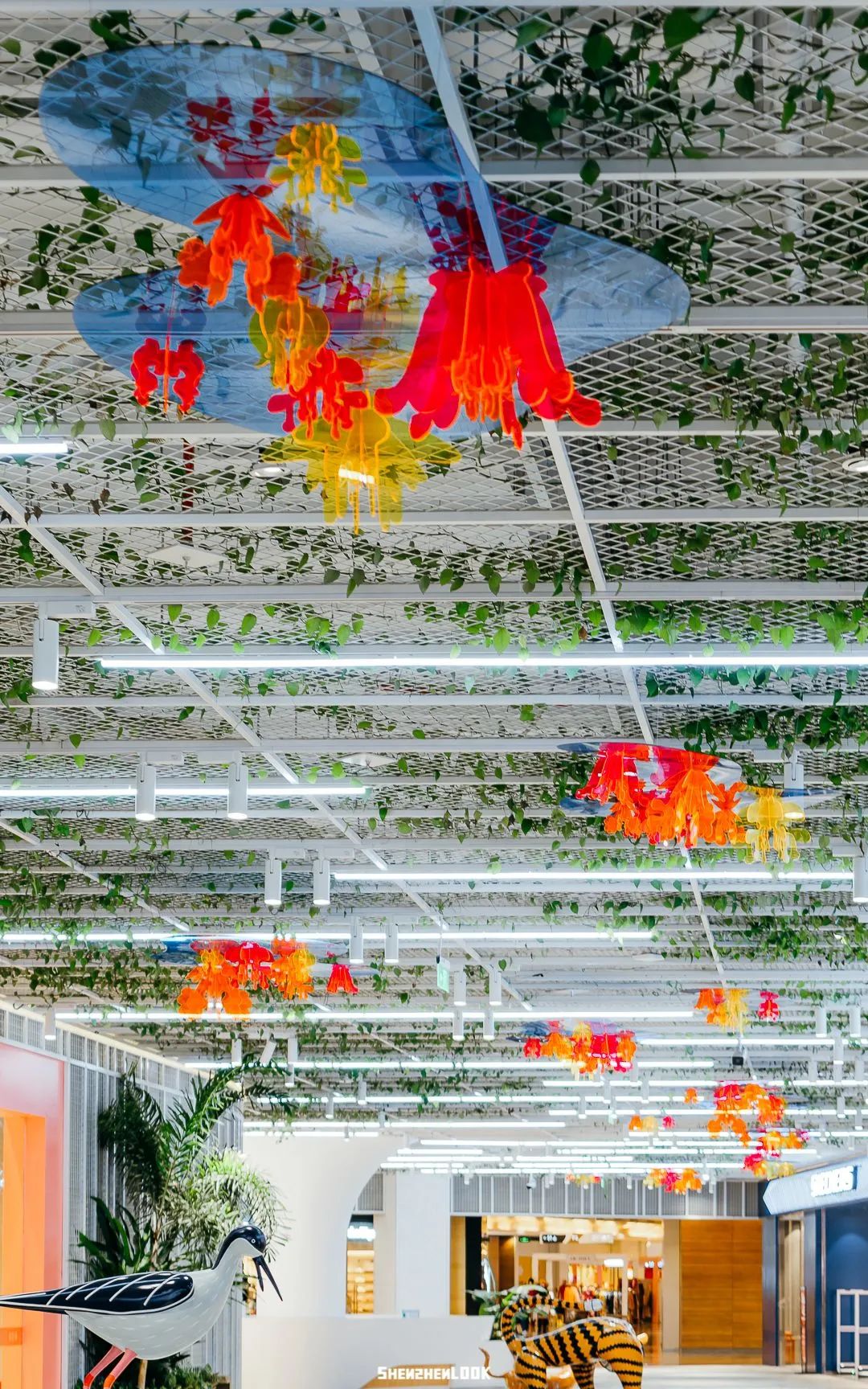 深圳看烟花的最佳地点免费,烟花深圳观看地点