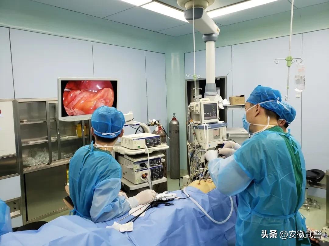 喜讯|*警武**安徽省总队医院特色专业一科荣获“*队军**医疗工作先进单位”称号!