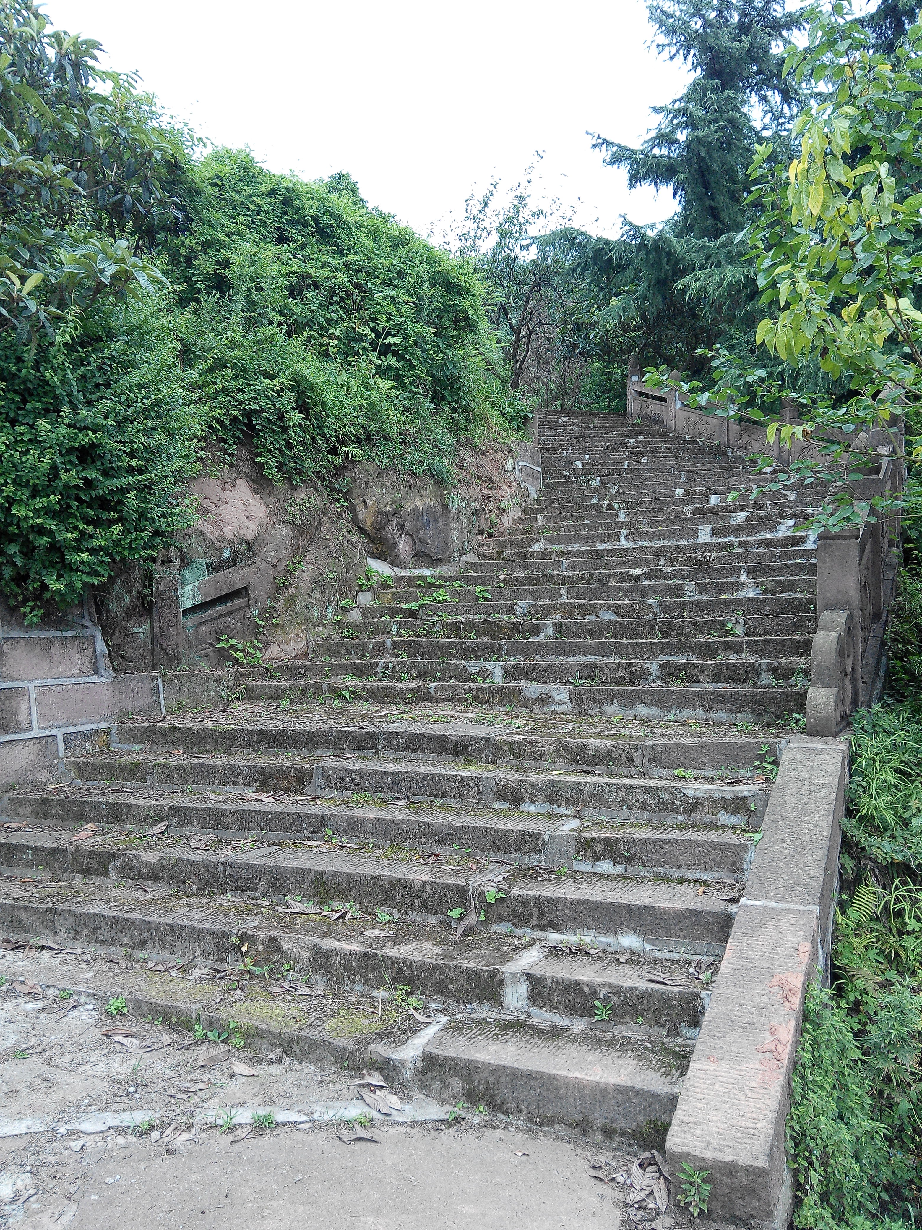 龙泉龙椅山植物园一日游,成都龙泉山最佳观景地方