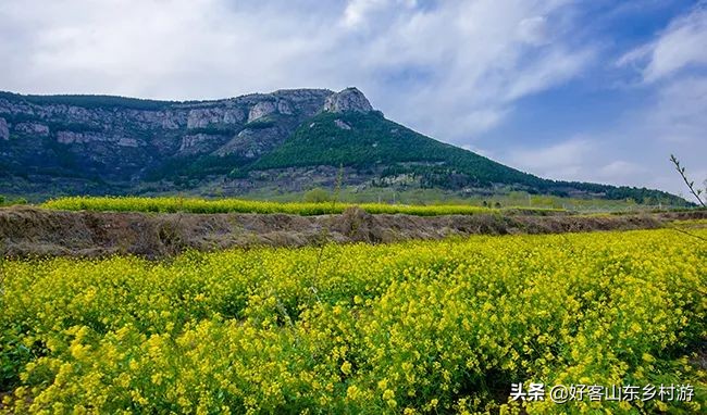 济南市五一假期游玩,济南旅游活动