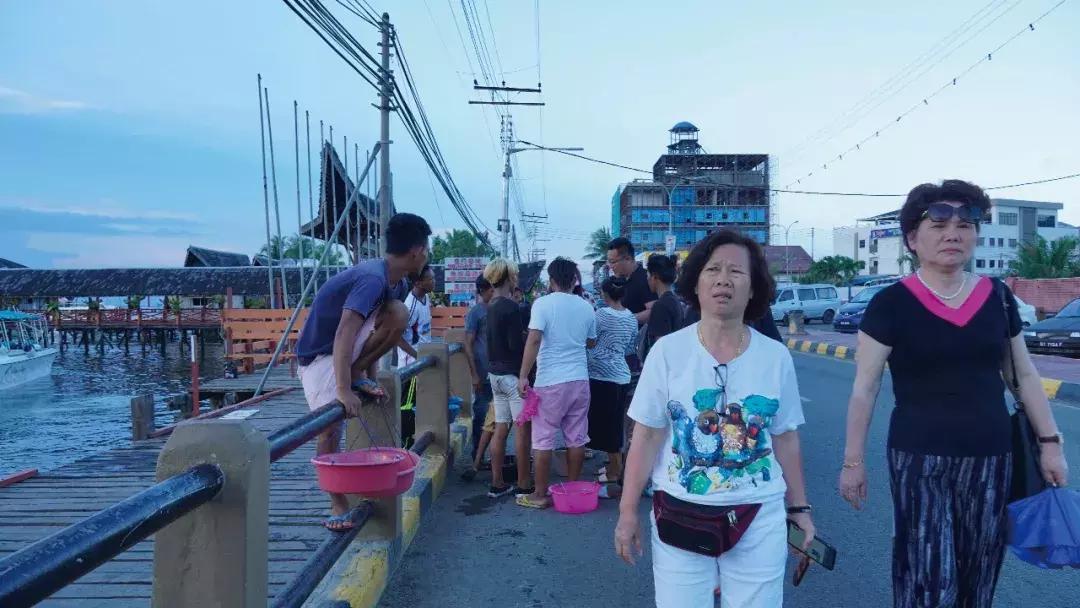 亚庇和仙本那七日旅游攻略,探寻星辰大海