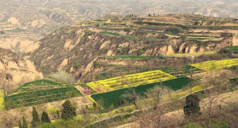 华夏乎！运城兮｜一位资深旅游人心中的运城！