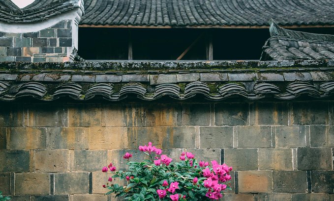 一起游玩泰顺,小众旅游泰顺