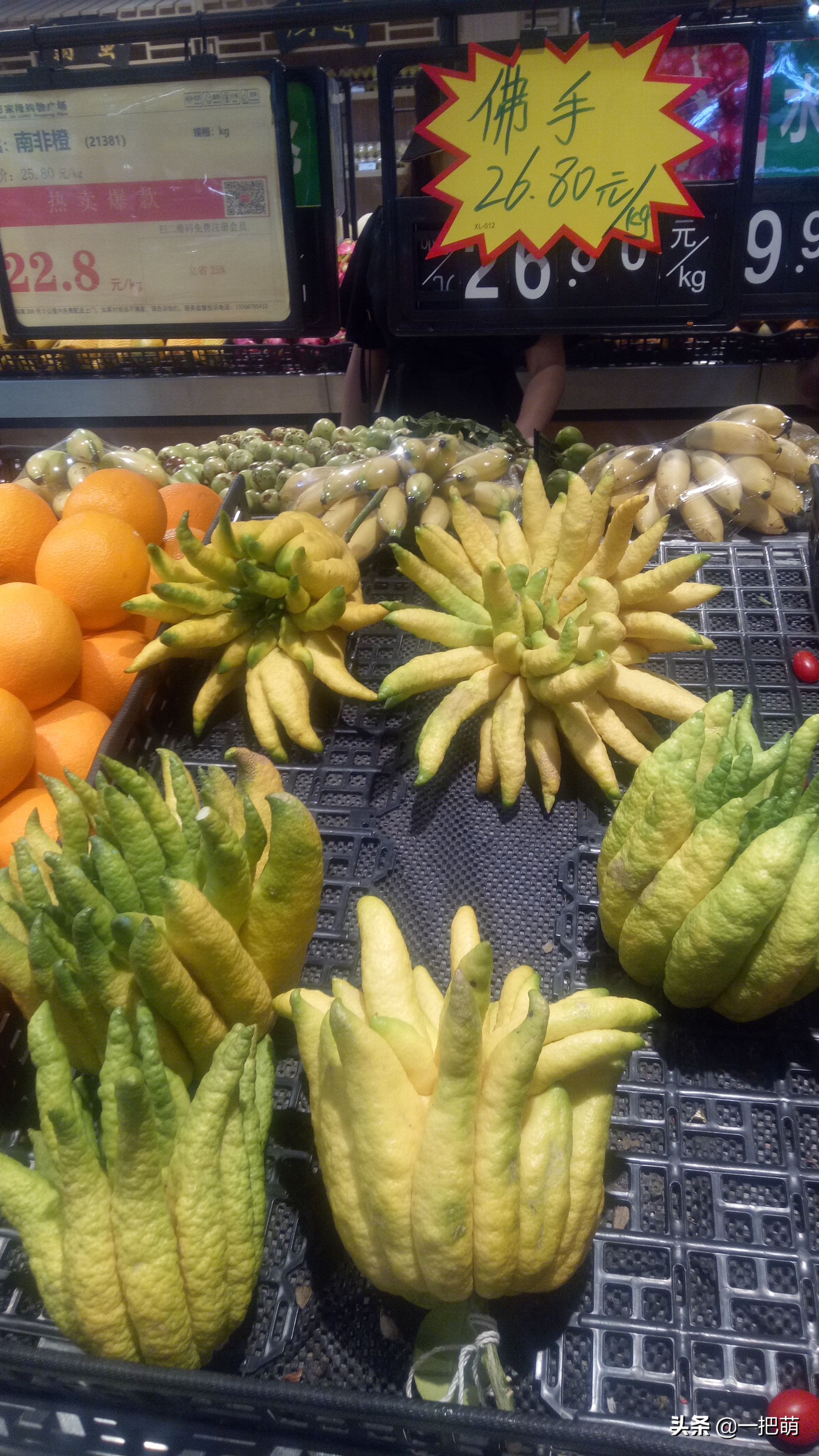 云南6天5夜跟团游踩坑讲解,旅游团云南7日游防踩坑