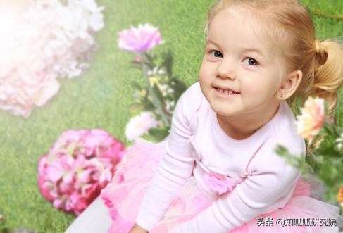 “巴布狗”商标被无效！20年童装品牌大战“巴布豆”获胜