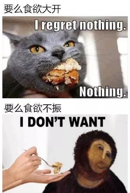 月经肚子疼腰痛,骨盆前倾为啥会月经紊乱