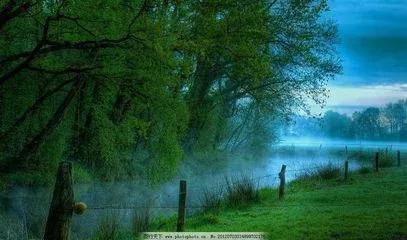 不知寄情于柳如何?