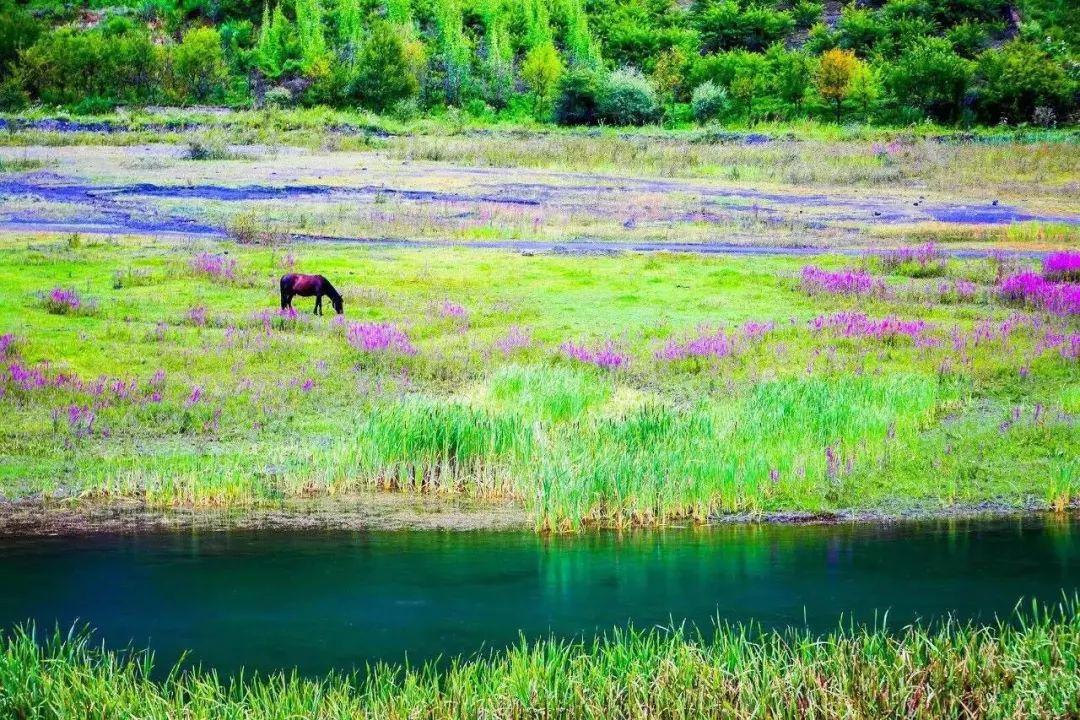 九寨沟精致小众,九寨沟风景不输瑞士