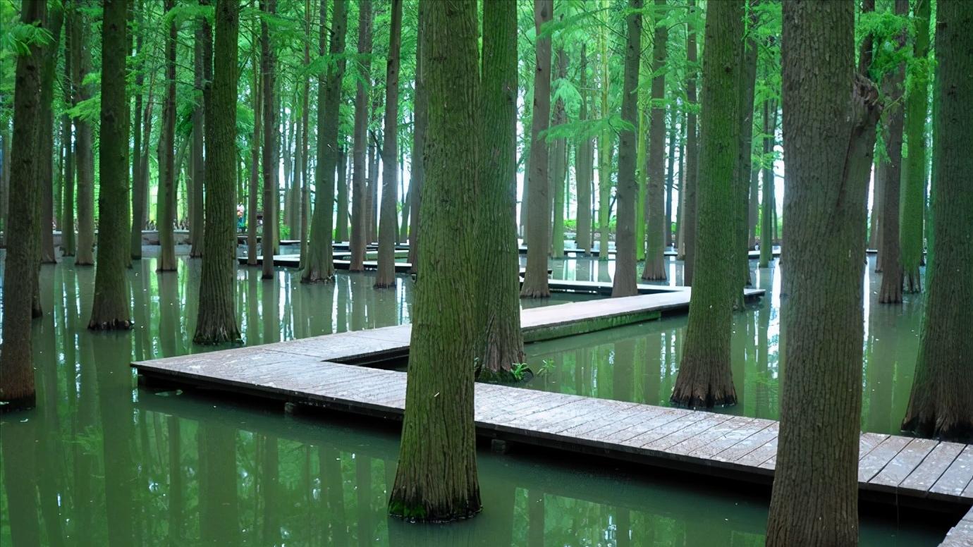 华东江苏篇,浅谈全国各省份