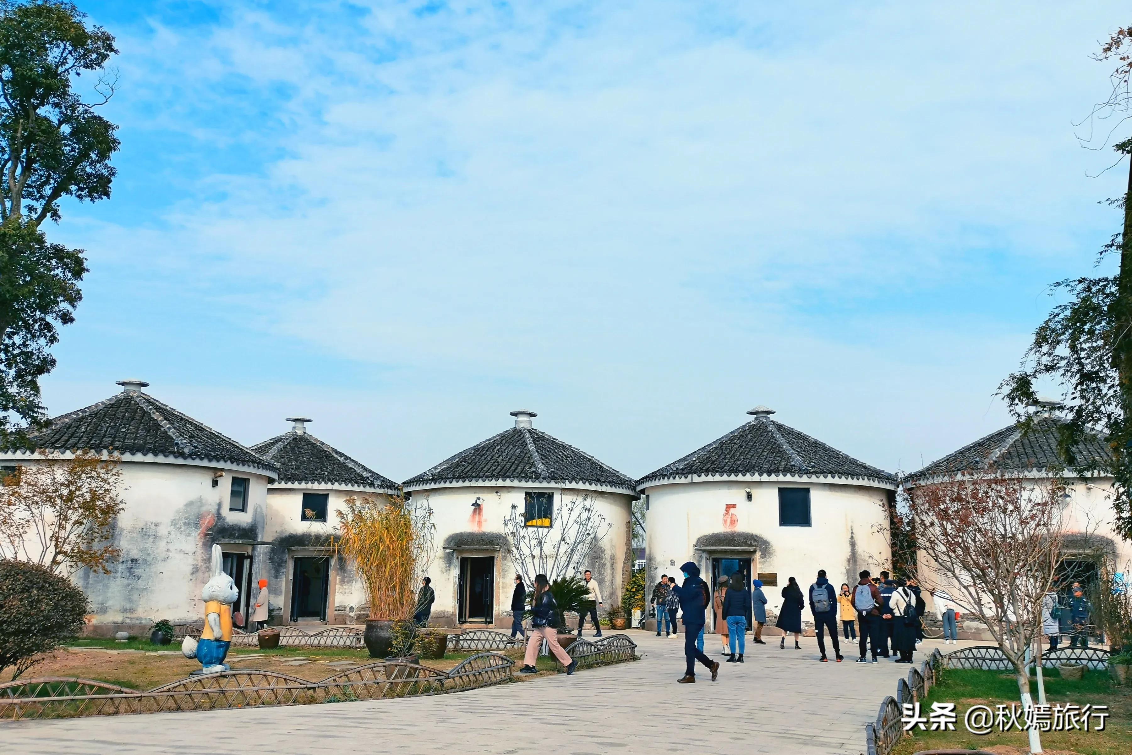 相城区北桥镇千年银杏树,苏州相城银杏打卡