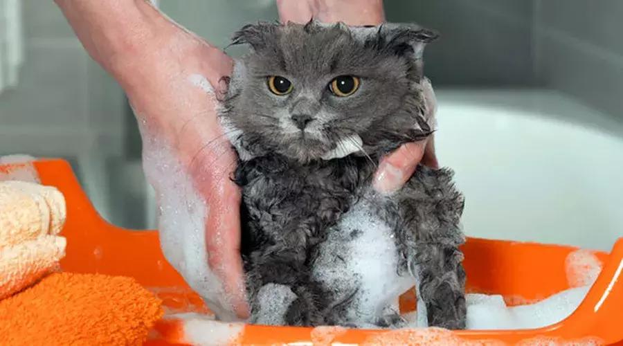 10个护肤小知识让皮肤越来越嫩,十个超实用的护肤变美小技巧