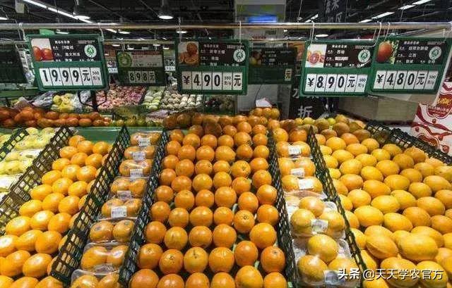 黄龙病使柑橘退化,柑橘黄龙病产业调整指导意见