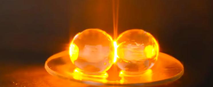 两颗葡萄微波炉加热是真的吗,葡萄为什么会在微波炉中爆炸