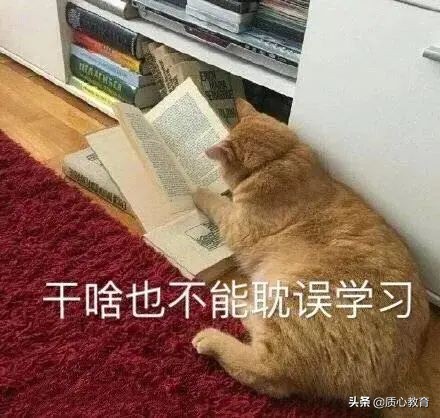 “快看，那个学数竞的上吊了……”当代数竞生迷惑行为大赏