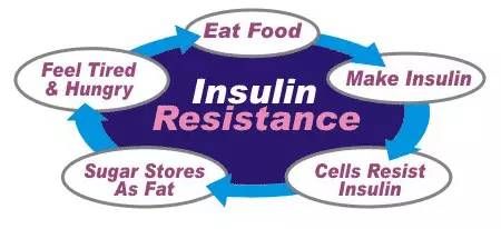 食堂菜很油腻怎么减肥,食堂饭菜油大怎么办