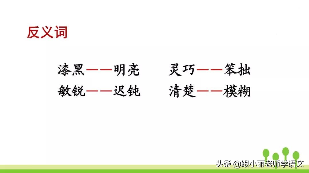 语文思维导图四年级上蝙蝠和雷达,人教版四年级上册蝙蝠和雷达朗读