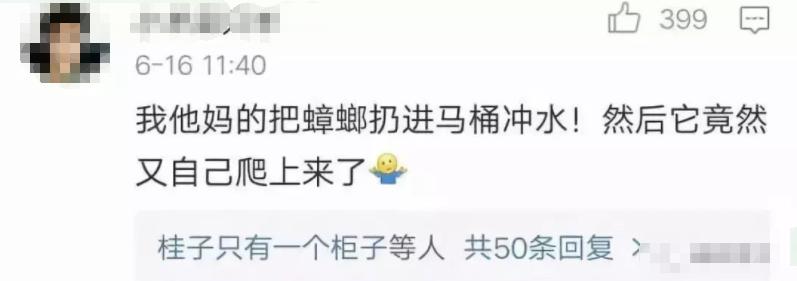 南方蟑螂和北方蟑螂对比恶搞,南方大蟑螂吓哭北方人