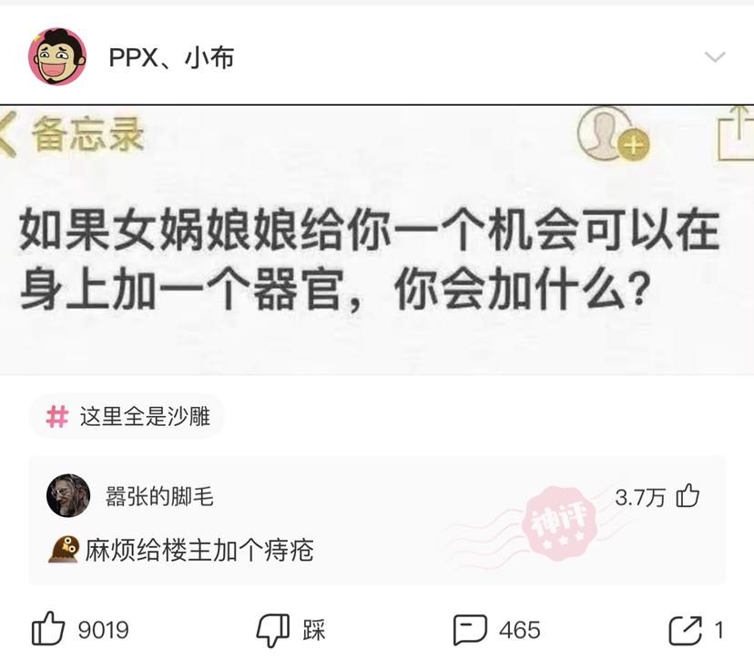 搞笑段子：骑上我心爱的小乌龟