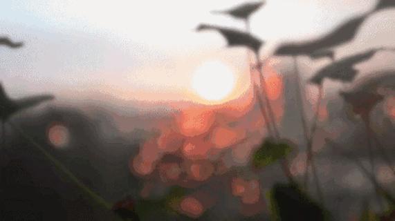 家有儿女夏天冰雹,家有儿女夏雨夏雪下冰雹