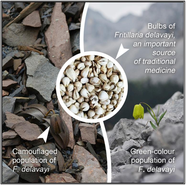 号召网友一起来玩“找茬游戏”，研究结果发了篇顶级论文