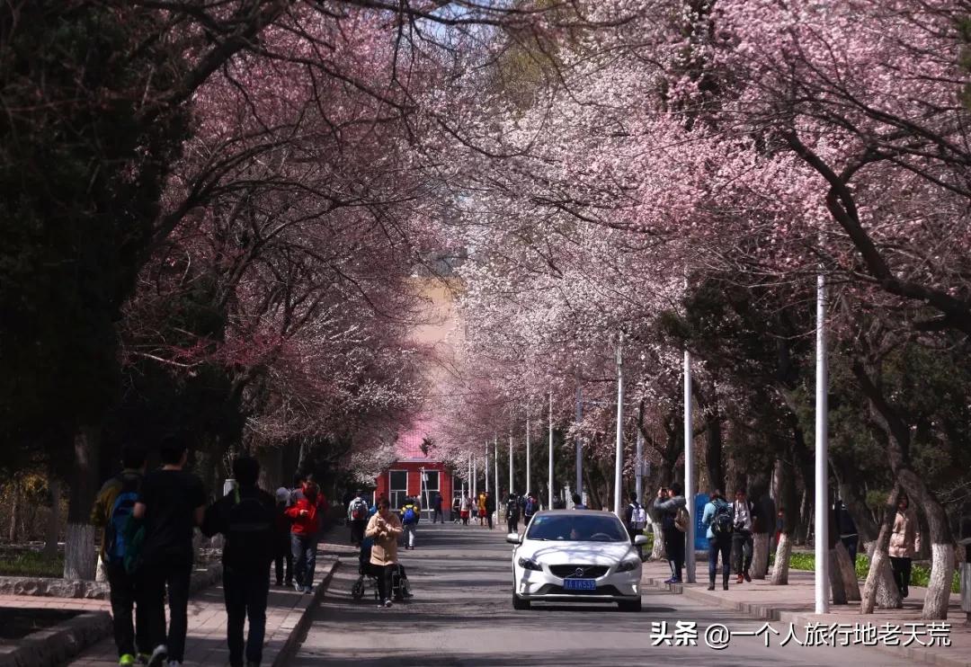 清明旅游一日游攻略,清明旅游三日游攻略