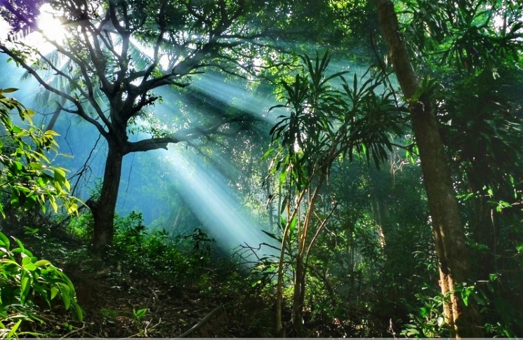 徒步探访马来西亚孤岛小村：医疗免费，孩子辍学家长坐牢