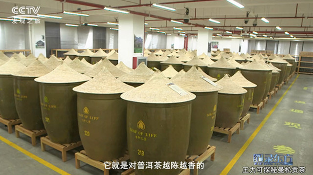 深入深山研究十余年，他终于喝到了明清皇室贡茶，味道是这样