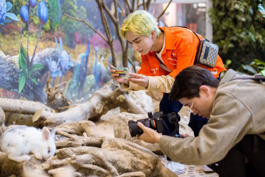 look缃戠孩,look鍝ュ摜